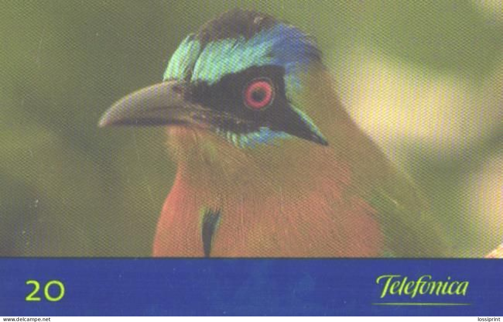 Brazil:Brasil:Used Phonecard, Telemar, 20 Credits, Bird Momotus Momata, 1999 - Uccelli Canterini Ed Arboricoli