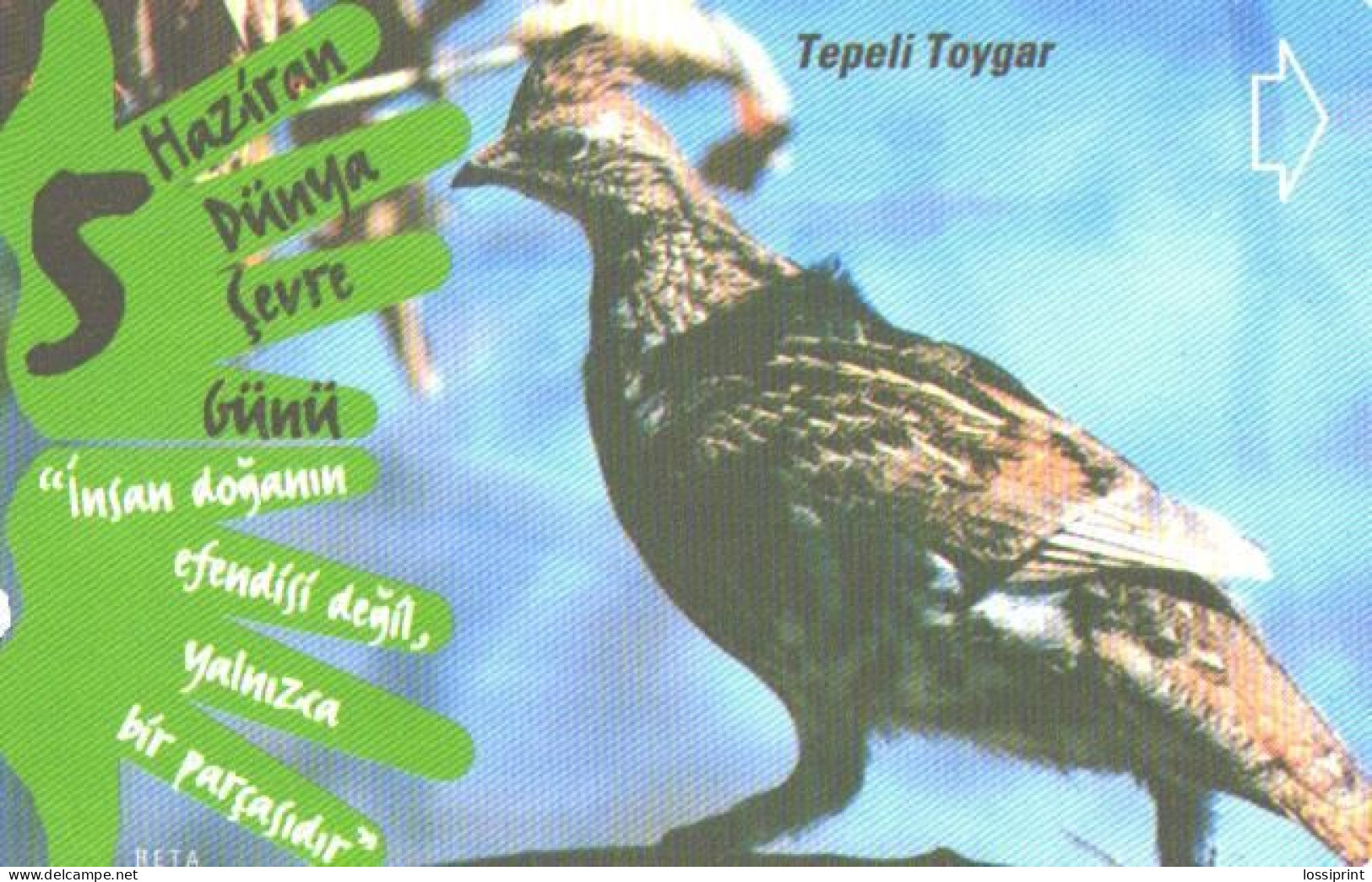 Turkey:Used Phonecard, Türk Telekom, 30 Units, Bird, 2001 - Songbirds & Tree Dwellers