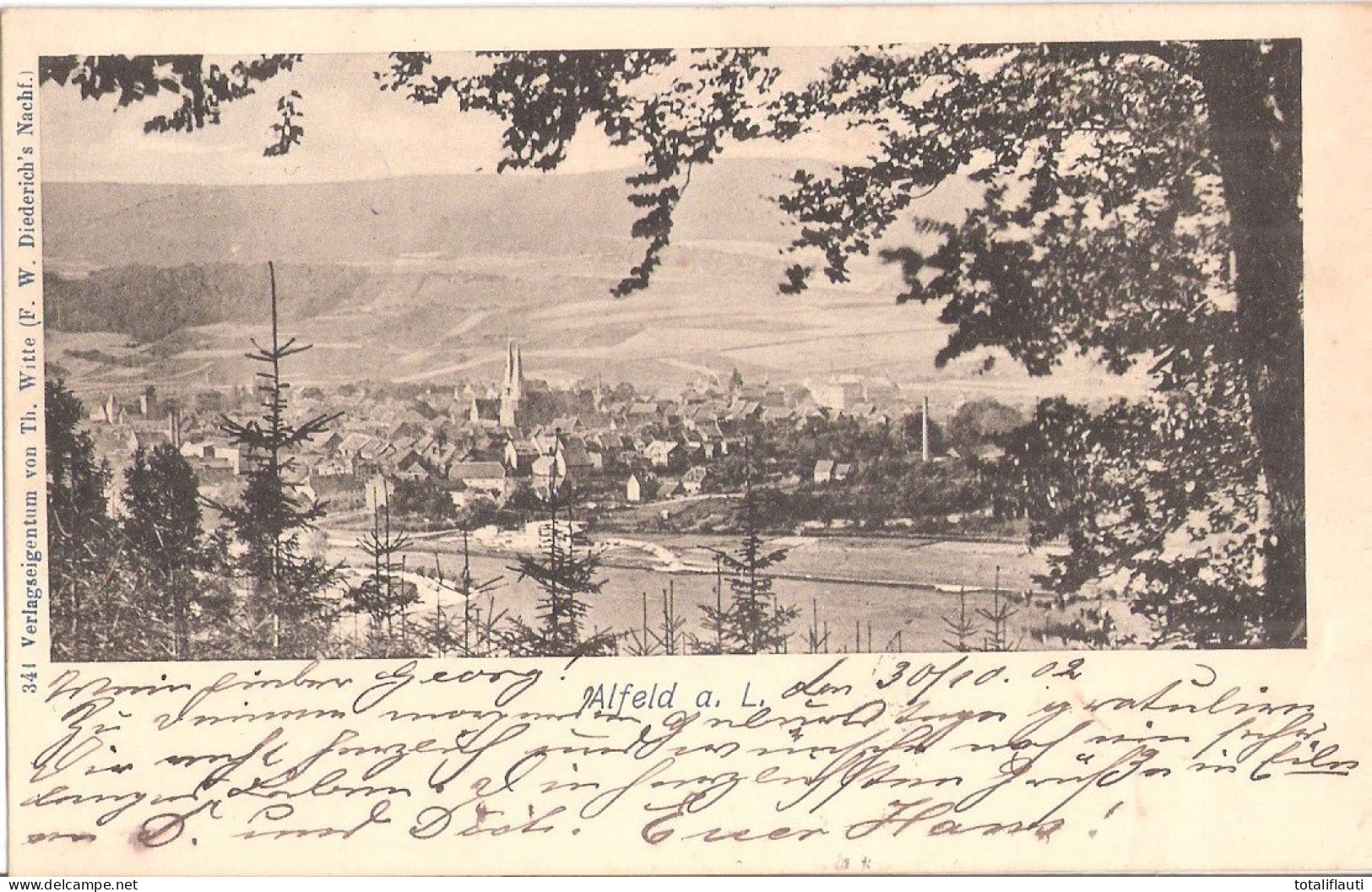 Alfeld A D Leine Bei Hildesheim Passepartout Panorama Ansicht Gelaufen Mit Bahnpost HANNOVER - CASSEL ZUG 31  30.10.1902 - Alfeld