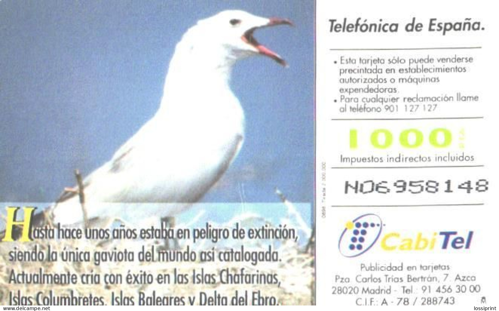 Spain:Used Phonecard, Telefonica, 1000 Pta, Fauna Iberica, Bird, Gull, Larus Audouinii - Sperlingsvögel & Singvögel