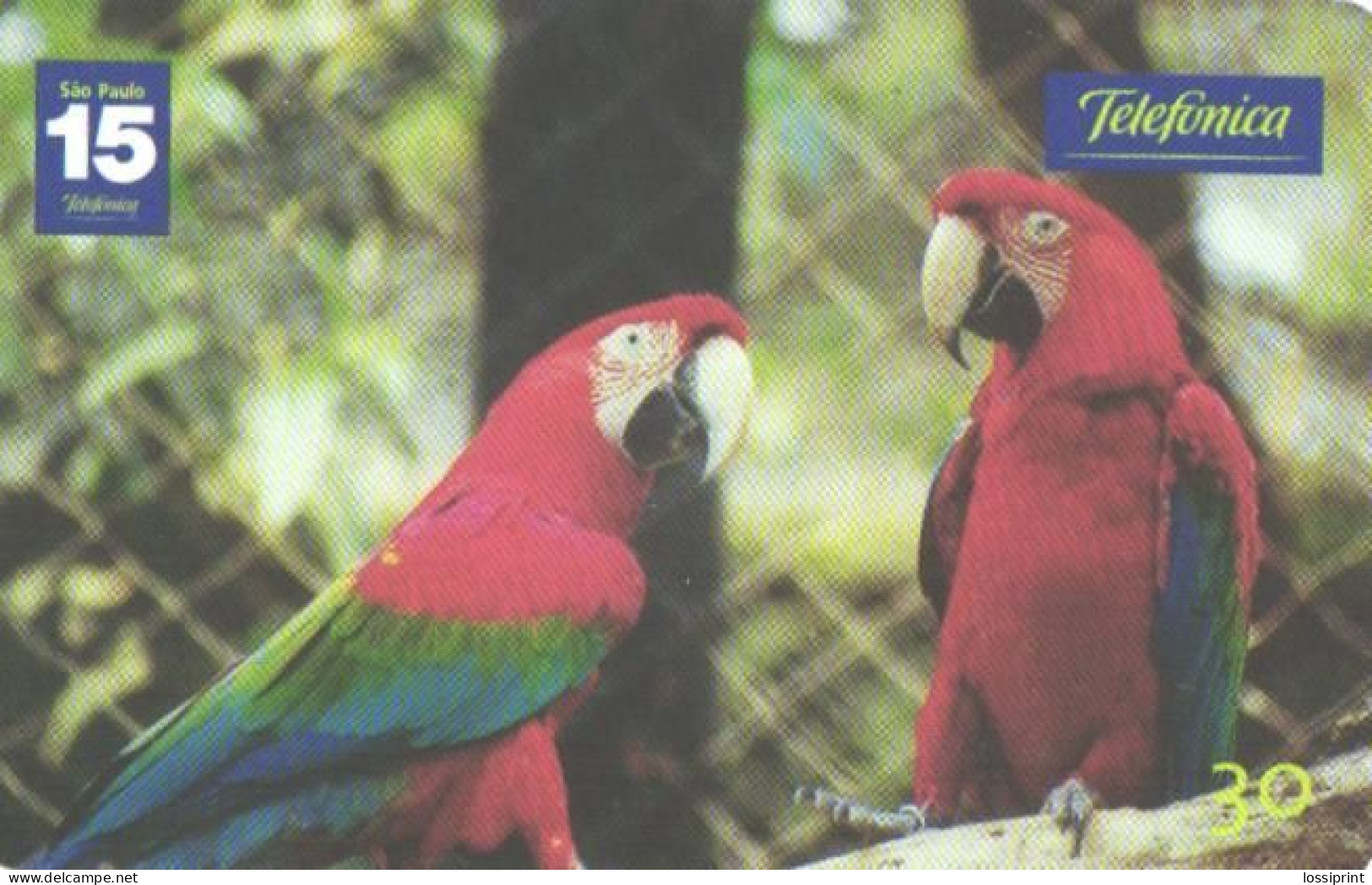 Brazil:Brasil:Used Phonecard, Telefonica, 30 Units, Birds, Parrots, 2001 - Loros