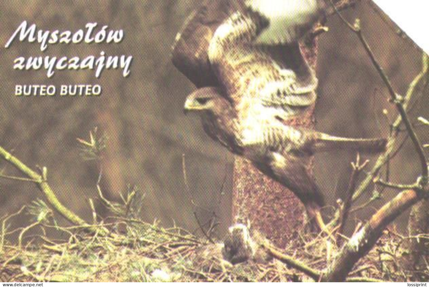 Poland:Used Phonecard, Telekomunikacja Polska S.A., 25 Units, Bird, Buteo Buteo - Eagles & Birds Of Prey