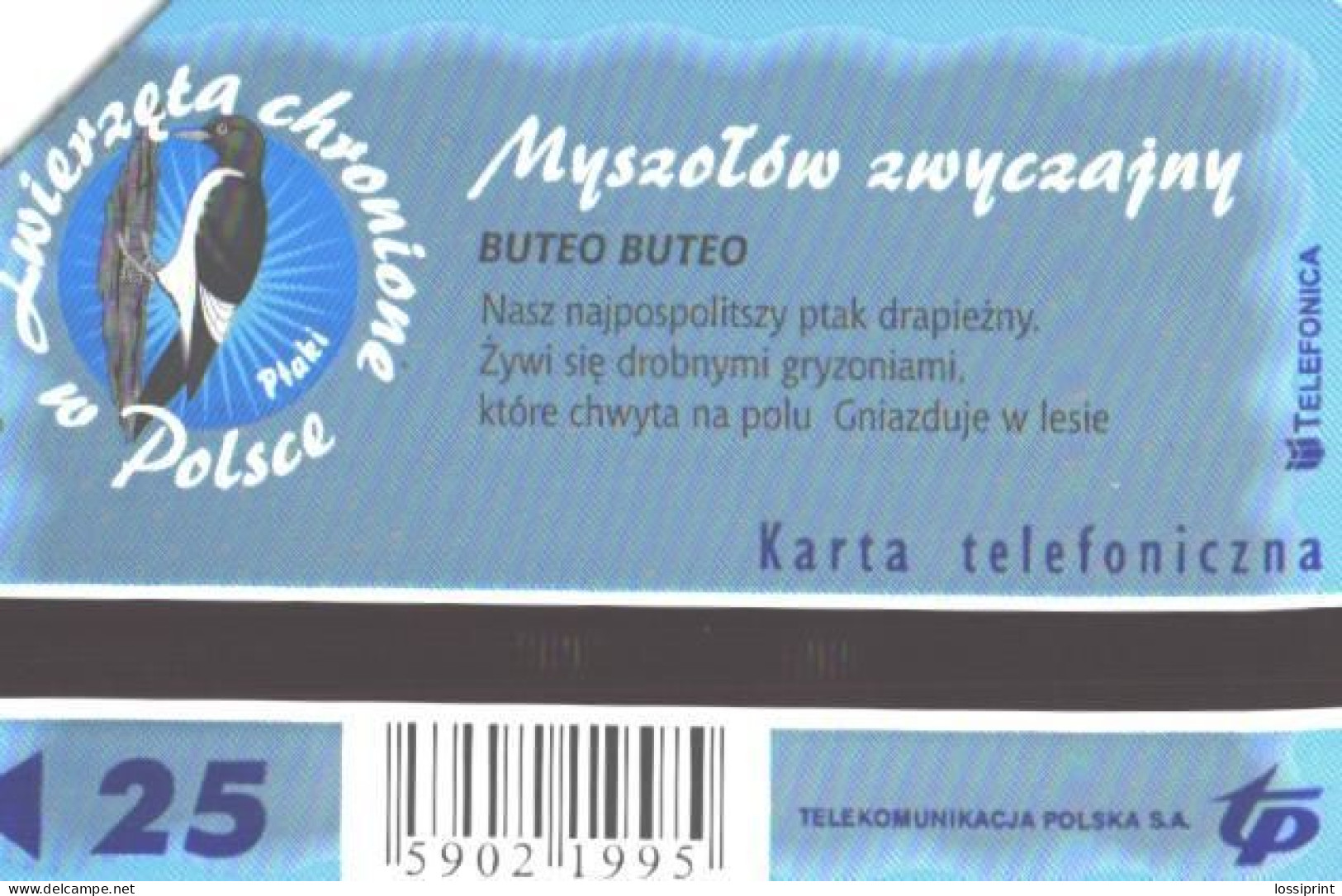 Poland:Used Phonecard, Telekomunikacja Polska S.A., 25 Units, Bird, Buteo Buteo - Eagles & Birds Of Prey