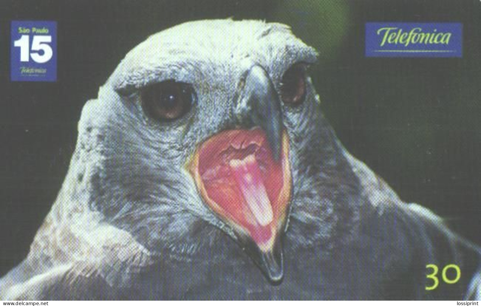 Brazil:Brasil:Used Phonecard, Telefonica, 30 Units, Bird, Morphnus Guianensis, 2001 - Adler & Greifvögel