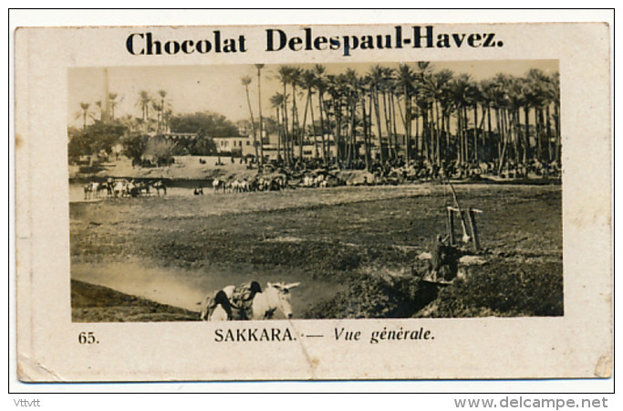 Publicité : Chocolat Delespaul-Havez (Marcq-en-Baroeul), N° 65, Sakkara (Egypte), Vue Générale, 2 Scans - Chocolate