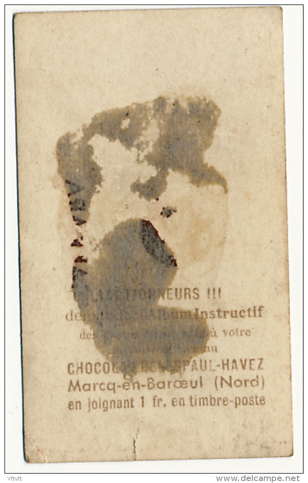 Publicité : Chocolat Delespaul-Havez (Marcq-en-Baroeul), N° 65, Sakkara (Egypte), Vue Générale, 2 Scans - Chocolat