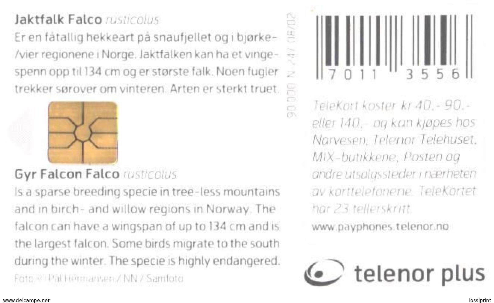 Norway:Used Phonecard, Telenor, 40 NOK, Falcon, Bird, Falco Rusticolus, 2002 - Eagles & Birds Of Prey