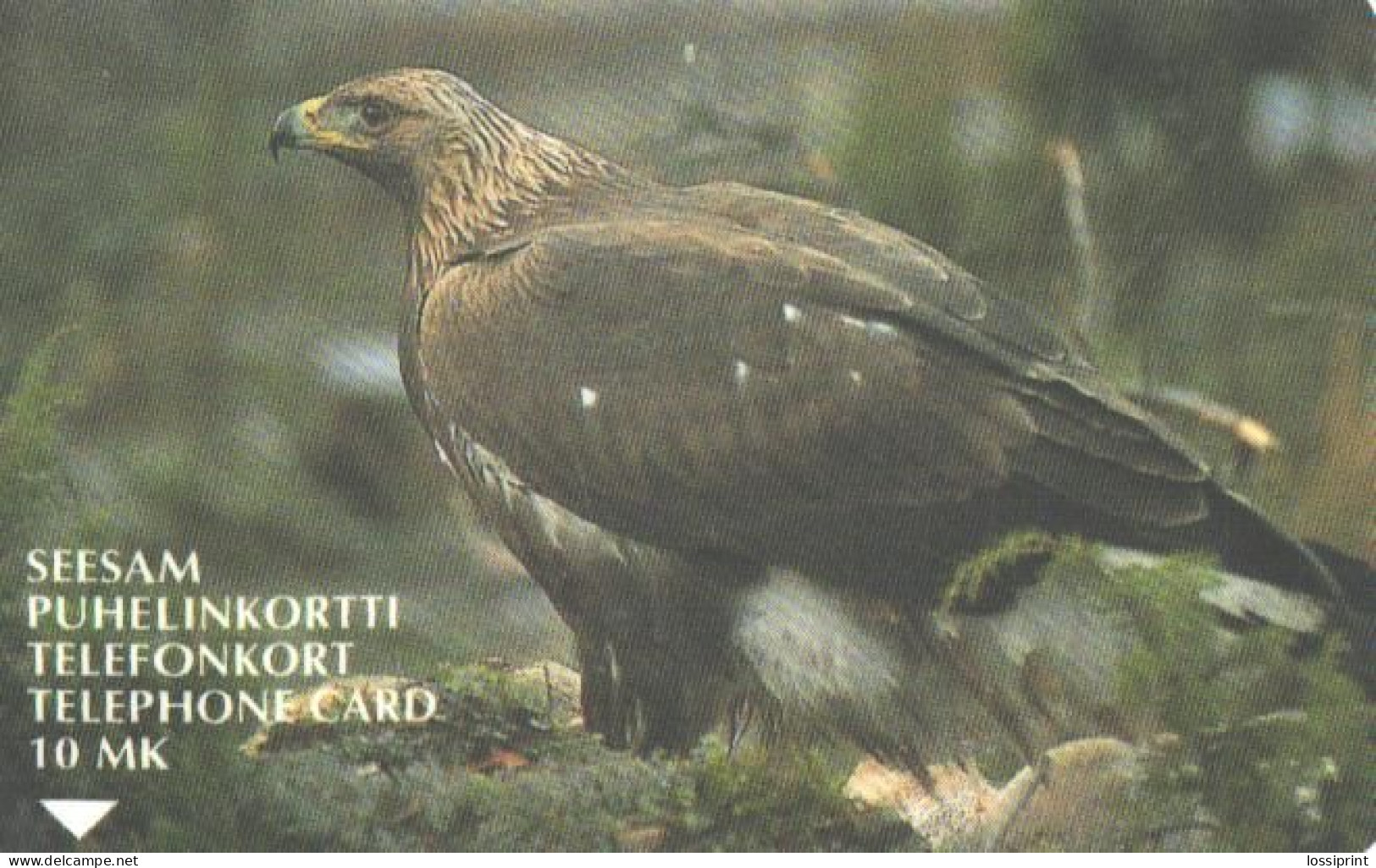 Finland:Used Phonecard, Seesam, 10 Markkaa, Bird, Eagle, 1998 - Aigles & Rapaces Diurnes