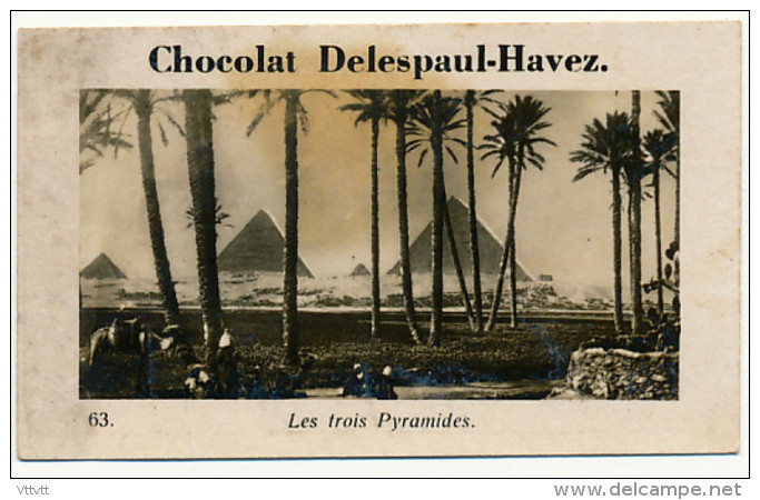 Publicité : Chocolat Delespaul-Havez (Marcq-en-Baroeul), N° 63, Les Trois Pyramides (Egypte), 2 Scans - Cioccolato