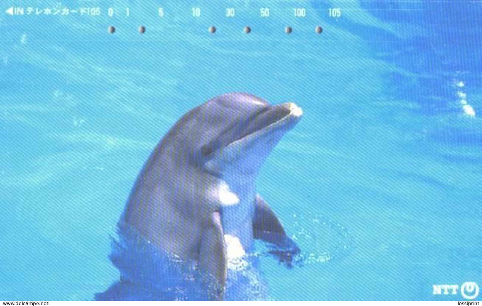 Japan:Used Phonecard, NTT, 105 Units, Dolphin - Delfines