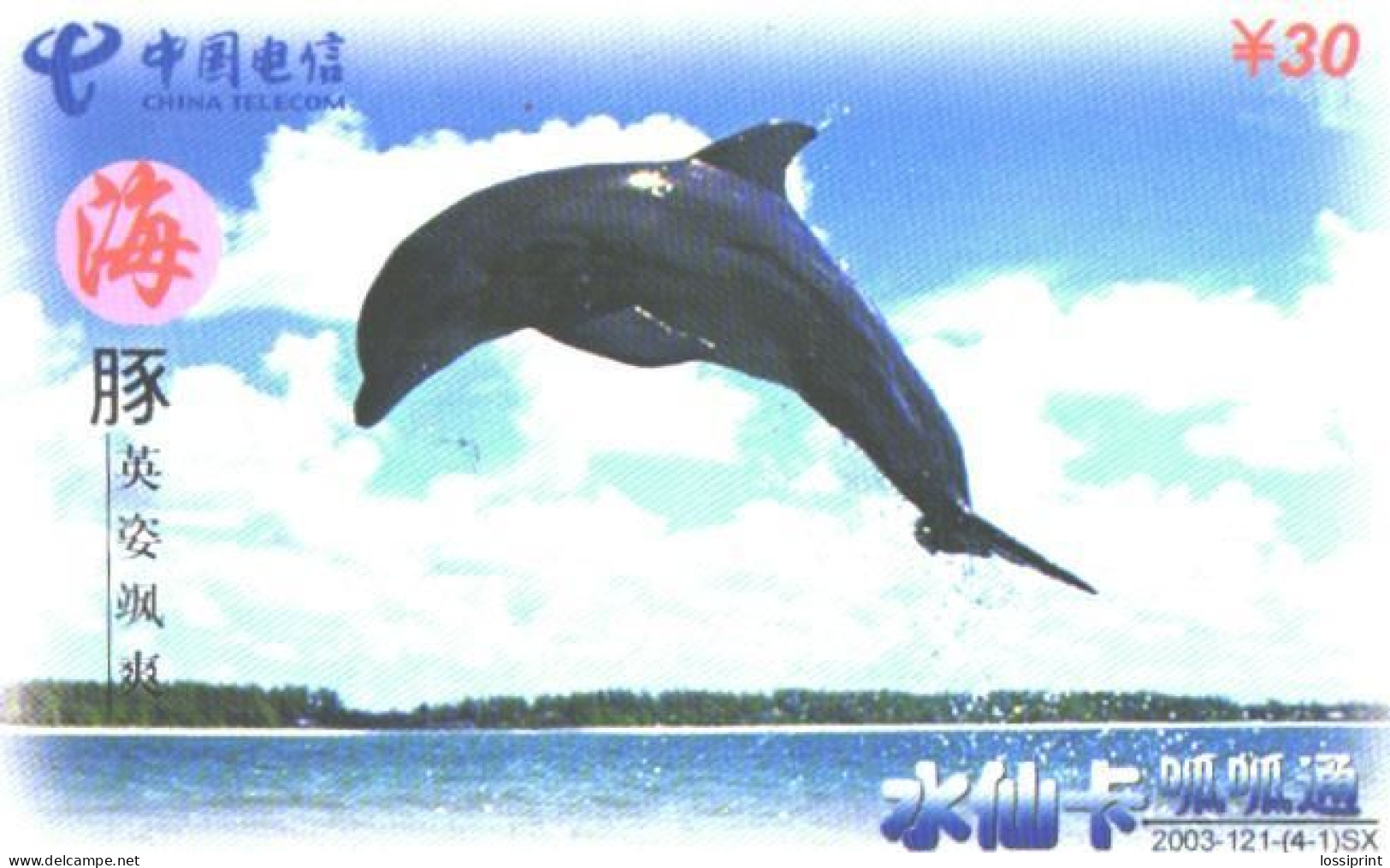 China:Used Phonecard, China Telecom, 30 Y, Jumping Dolphin - Delfines