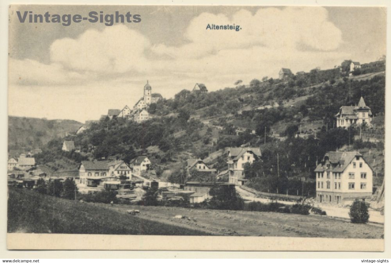 Altensteig / Germany: Partial View - Black Forest (Vintage PC 1908) - Altensteig