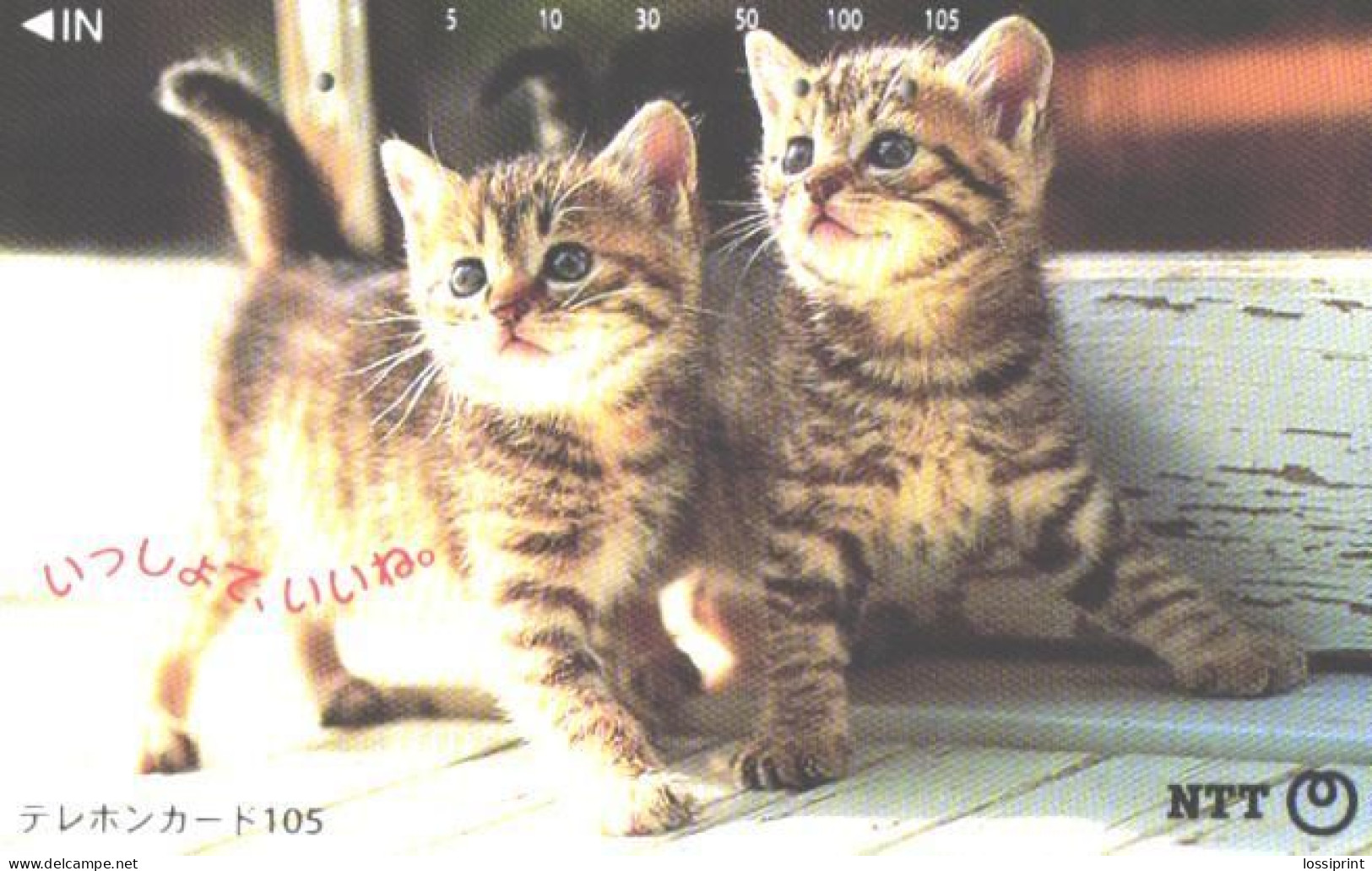 Japan:Used Phonecard, NTT, 105 Units, Cat, Kittens - Cats