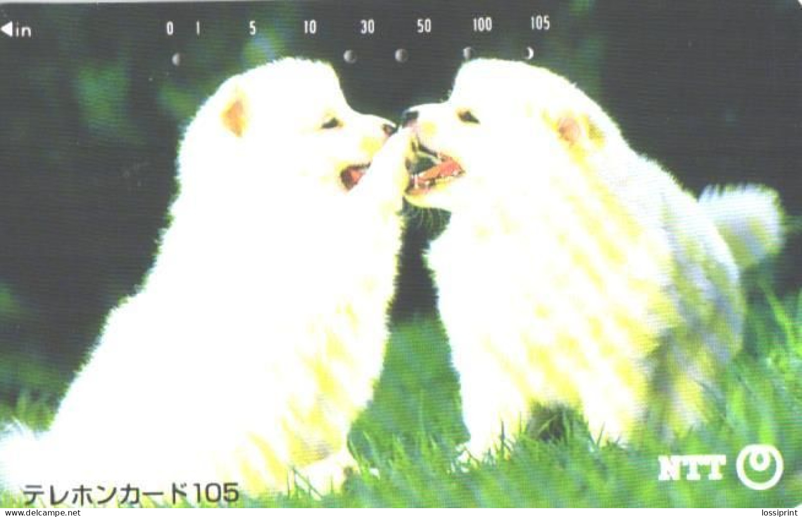 Japan:Used Phonecard, NTT, 105 Units, Dogs, Puppies - Dogs