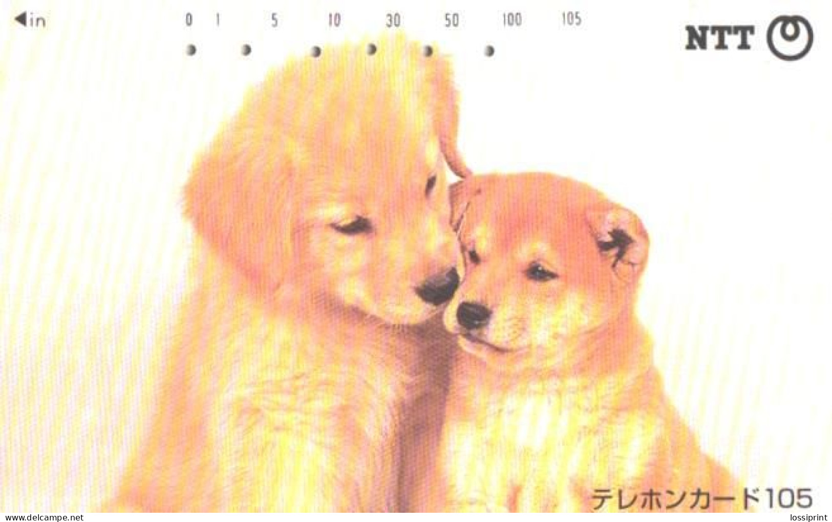 Japan:Used Phonecard, NTT, 105 Units, Dogs, Puppies - Chiens
