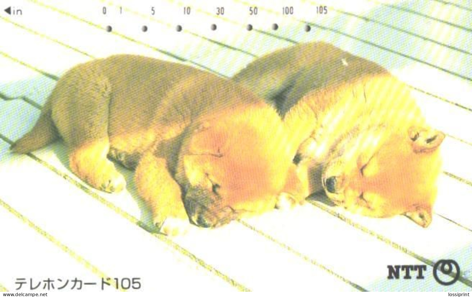 Japan:Used Phonecard, NTT, 105 Units, Dogs, Puppies - Cani