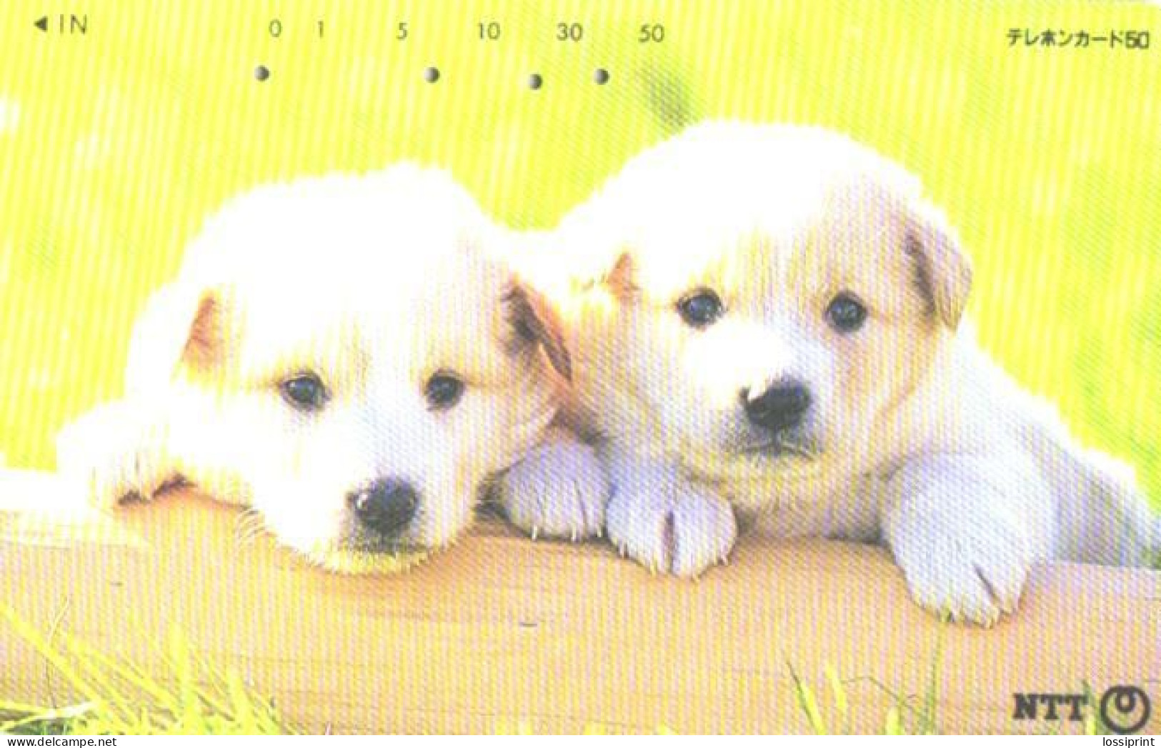 Japan:Used Phonecard, NTT, 50 Units, Dogs, Puppies - Hunde