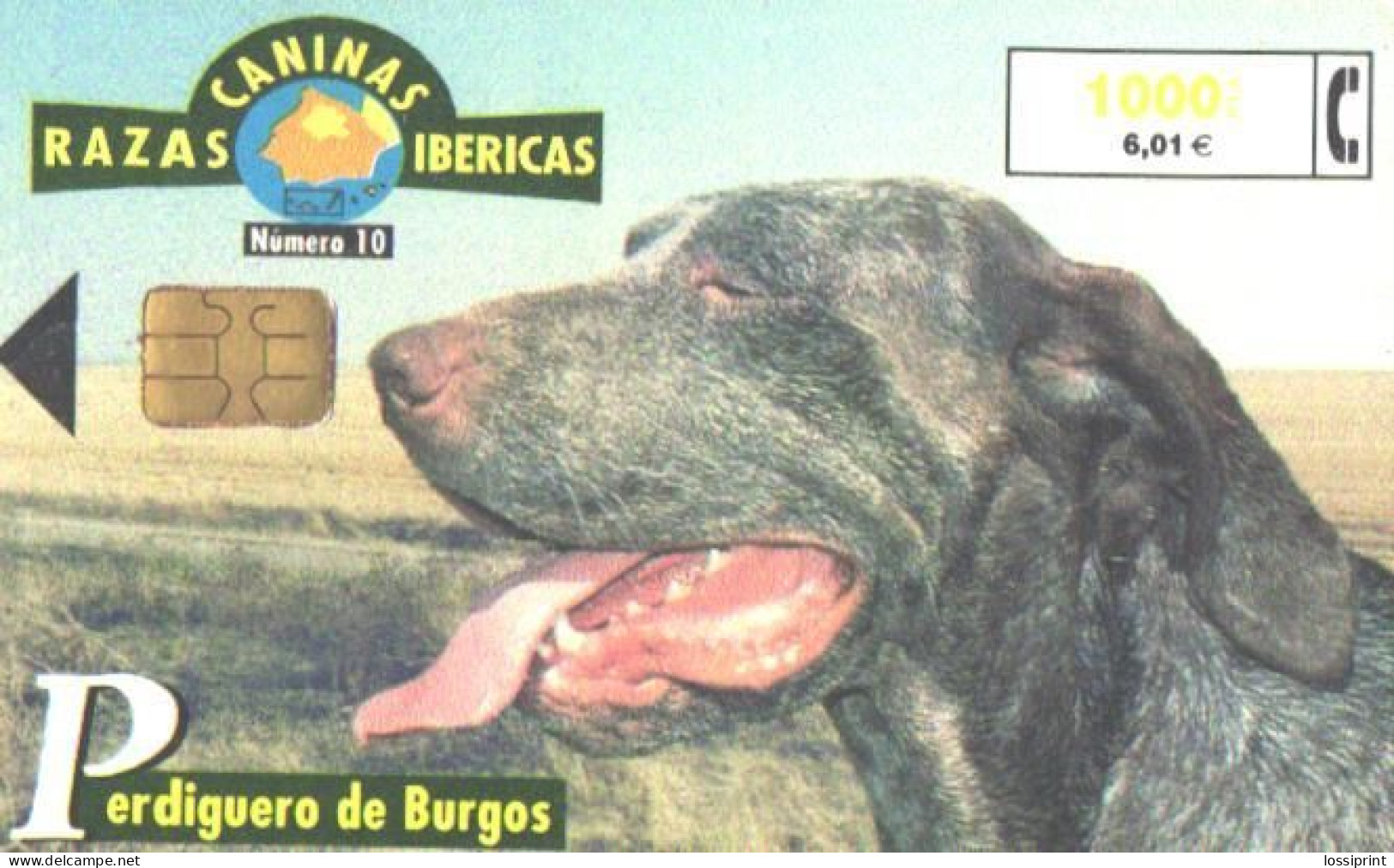 Spain:Used Phonecard, Telefonica, 1000 Pta, Dog, 2002 - Chiens