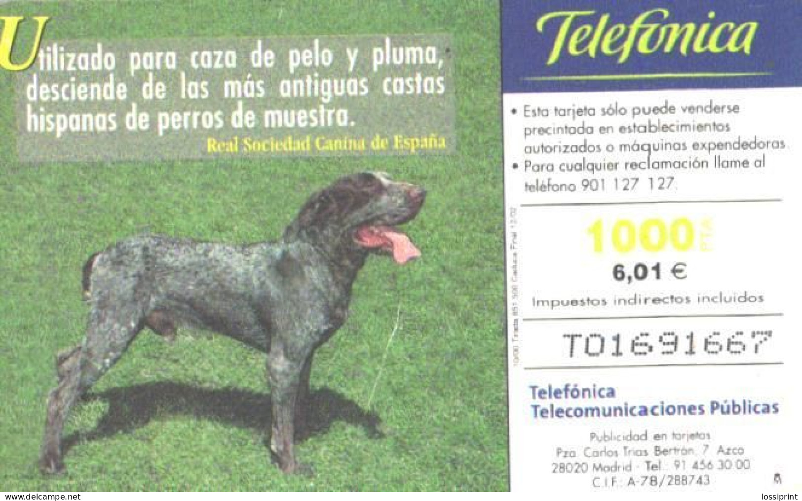 Spain:Used Phonecard, Telefonica, 1000 Pta, Dog, 2002 - Hunde