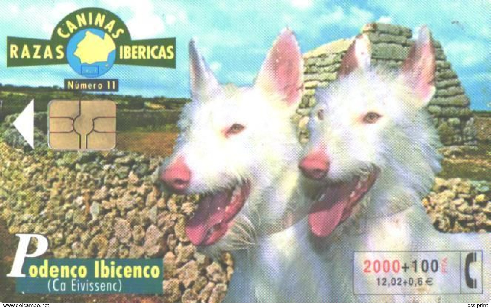 Spain:Used Phonecard, Telefonica, 2000+100 Pta, Dogs, 2002 - Dogs