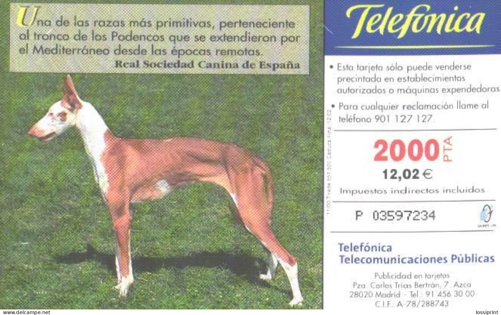 Spain:Used Phonecard, Telefonica, 2000+100 Pta, Dogs, 2002 - Chiens