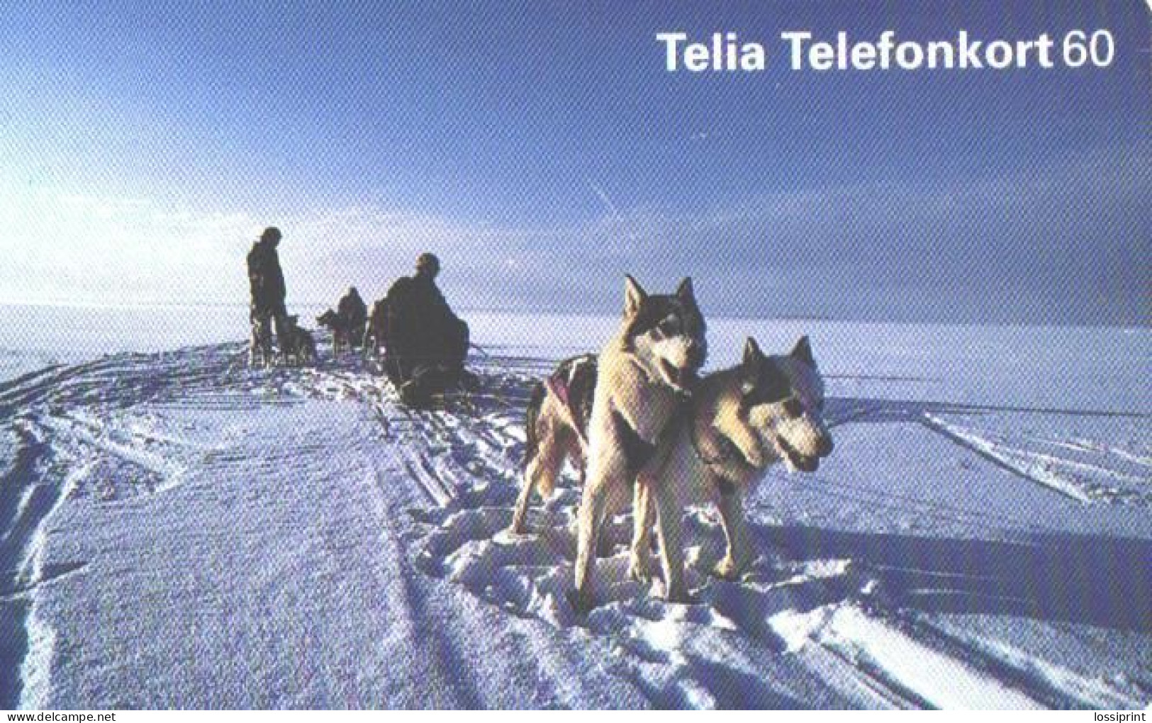 Sweden:Used Phonecard, Telia, 60 Markers, Dogs In Front Of Sleigh - Hunde