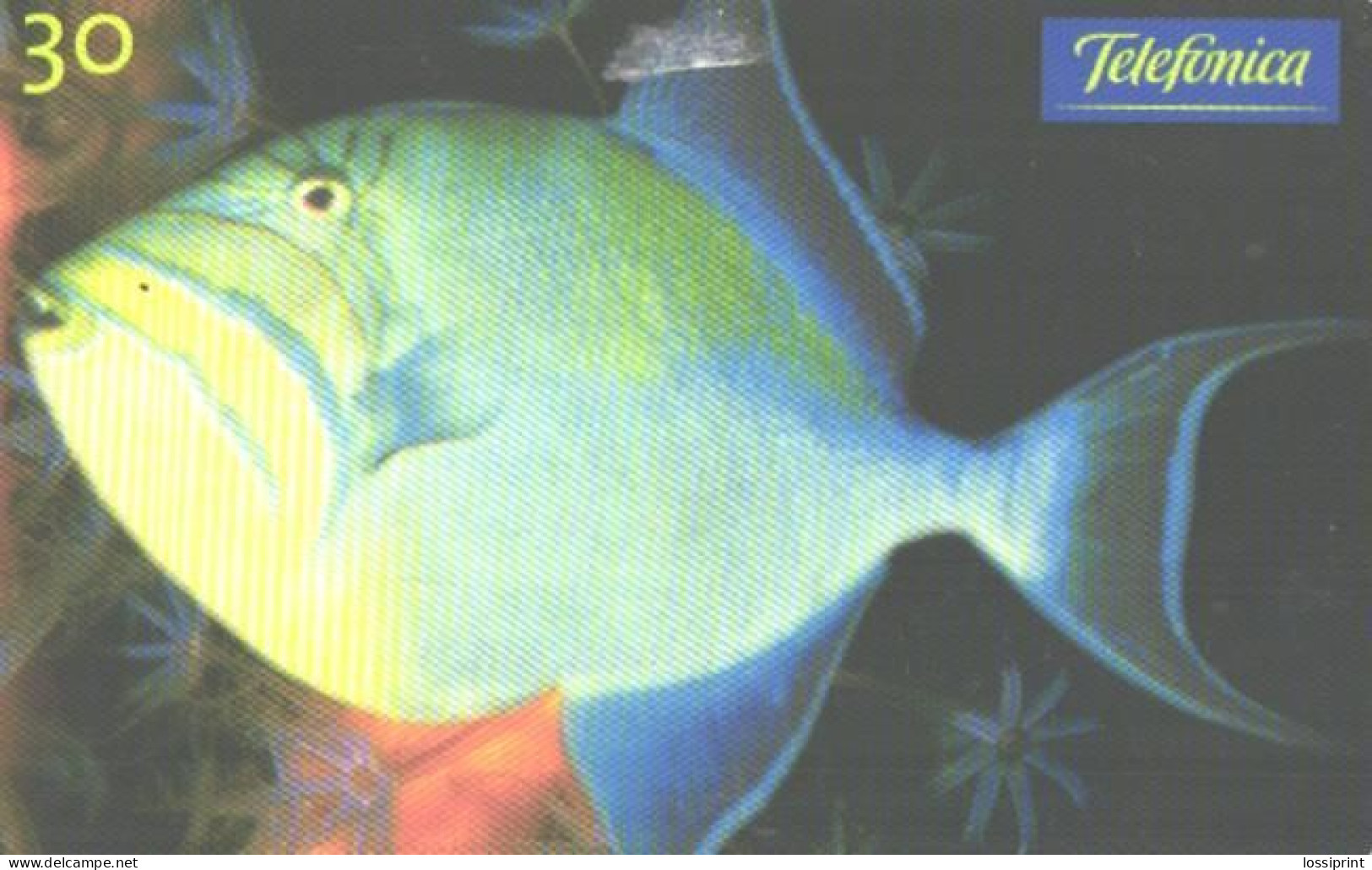 Brazil:Brasil:Used Phonecard, Telefonica, 30 Units, Fish, Balista, 2000 - Fish