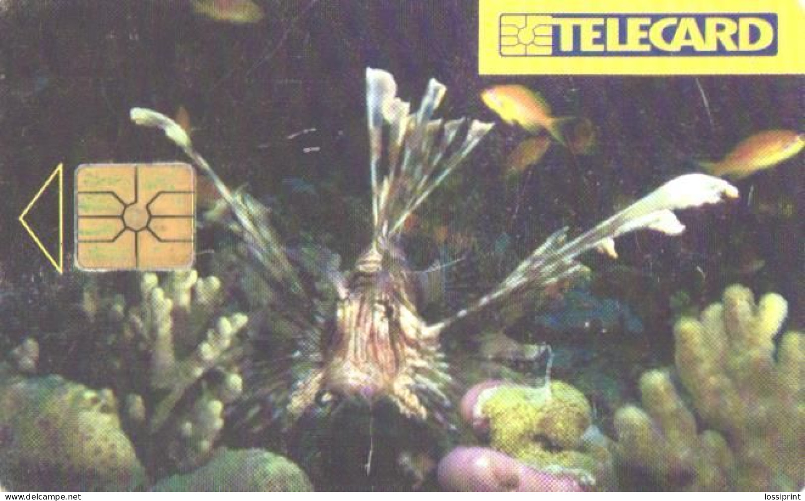 Czech:Used Phonecard, SPT Telecom, 50 Units, Fish, 1997 - Peces