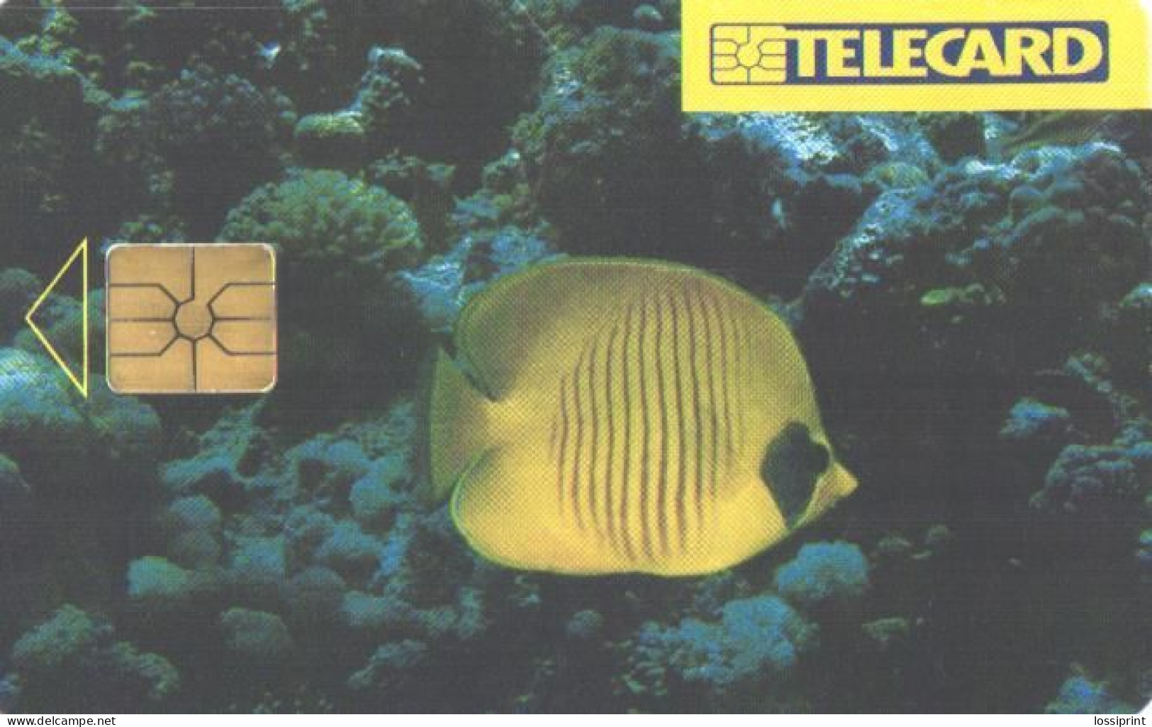 Czech:Used Phonecard, SPT Telecom, 100 Units, Fish, 1996 - Fische