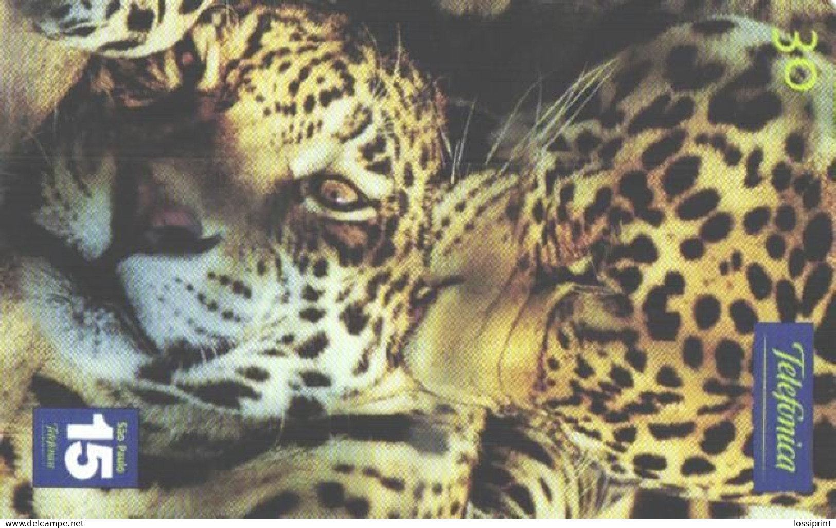 Brazil:Brasil:Used Phonecard, Telefonica, 30 Units, Jaguar, Panthera Onca, 2001 - Oerwoud