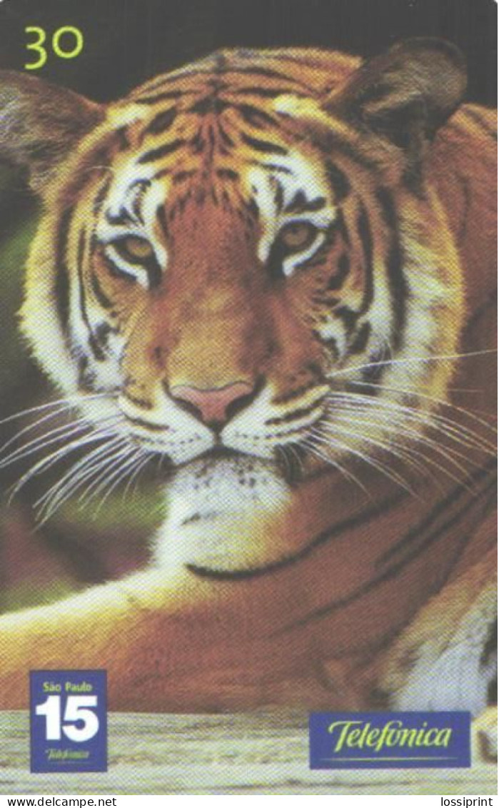 Brazil:Brasil:Used Phonecard, Telefonica, 30 Units, Tiger, Panthera Tigris, 2001 - Dschungel