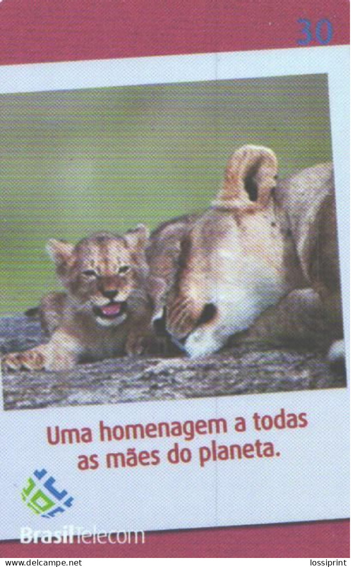 Brazil:Brasil:Used Phonecard, Telefonica, 30 Units, Couguar, Puma, 2002 - Oerwoud