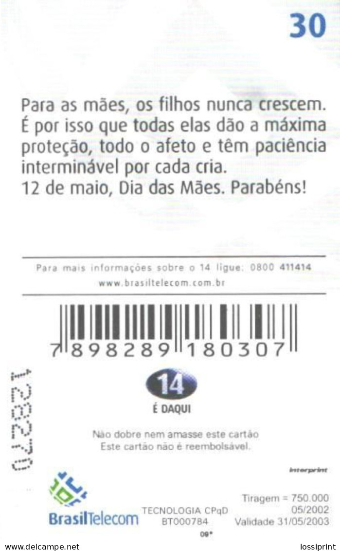 Brazil:Brasil:Used Phonecard, Telefonica, 30 Units, Couguar, Puma, 2002 - Giungla