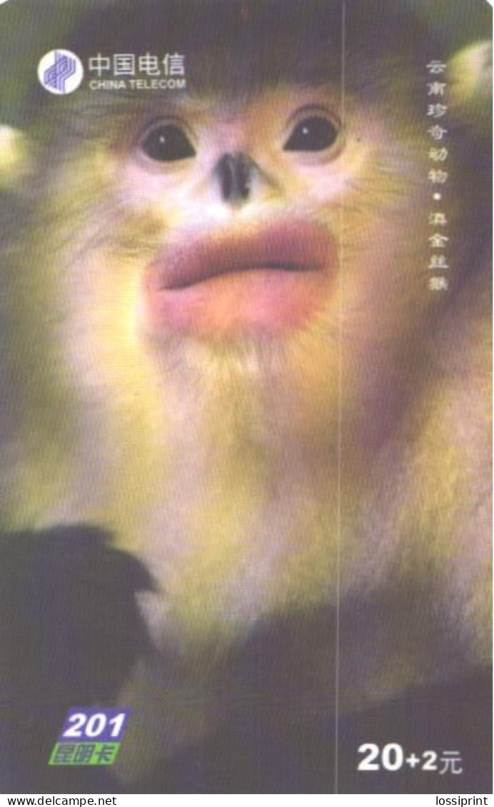 China:Used Phonecard, China Telecom, 20+2 Y, Monkey, 2003 - Jungle