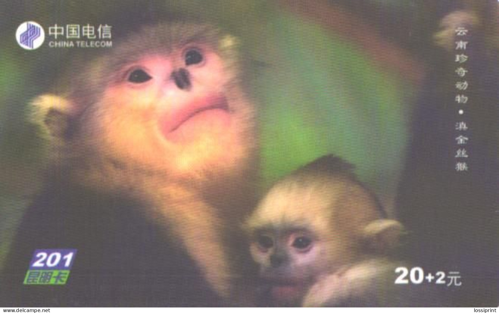 China:Used Phonecard, China Telecom, 20+2 Y, Monkey With Son, 2003 - Jungle