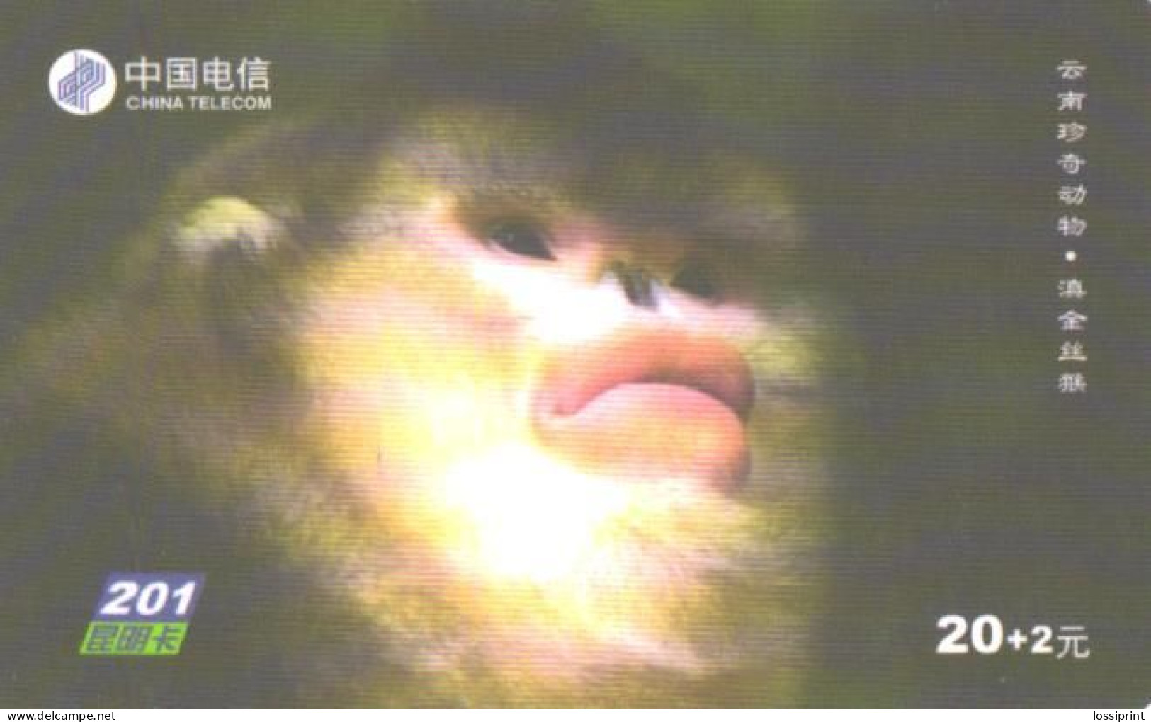 China:Used Phonecard, China Telecom, 20+2 Y, Monkey, 2003 - Jungle