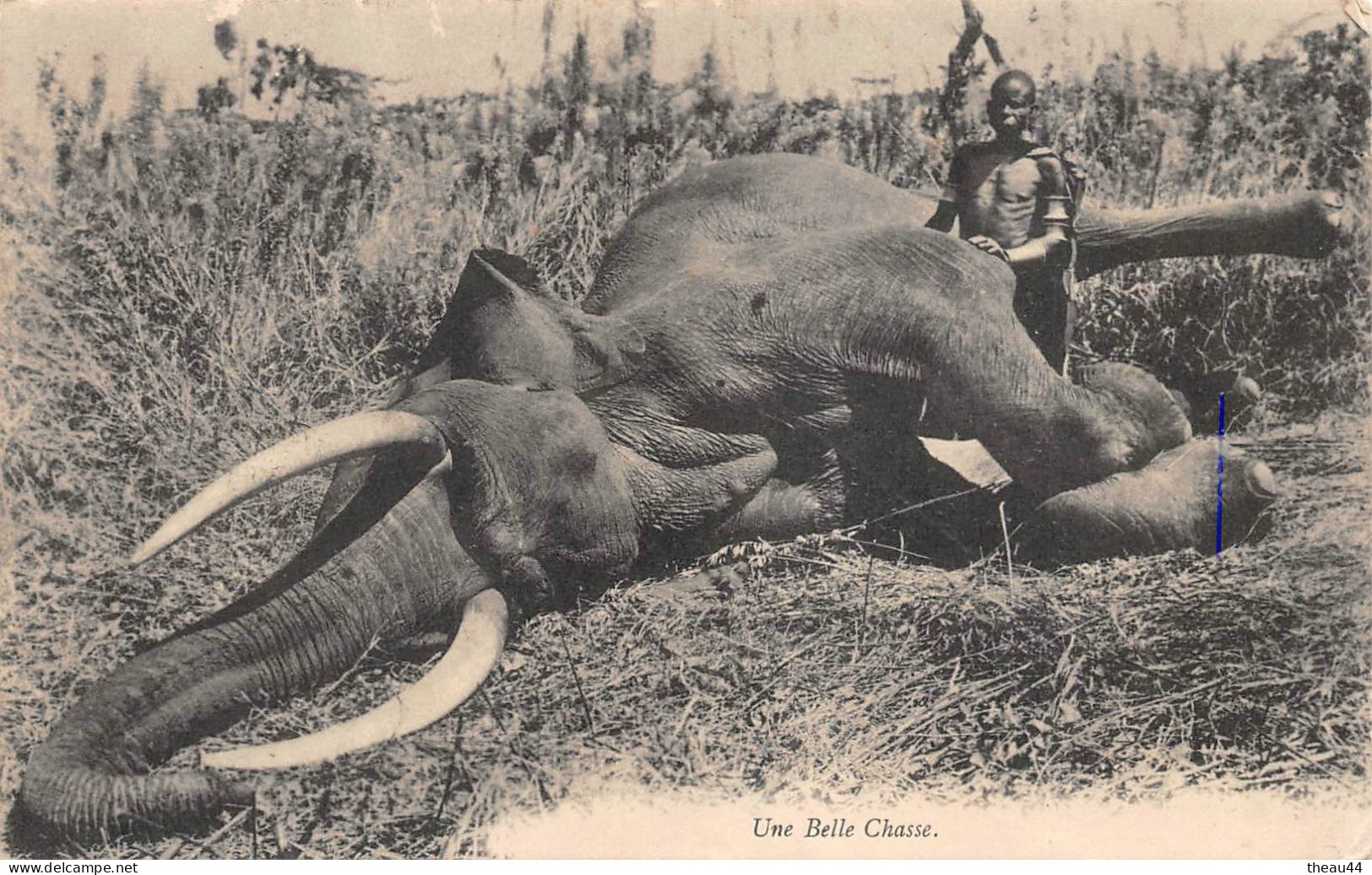 ¤¤    -    AFRIQUE    -   Une Belle Chasse   -  Chasseurs  -  Chasse à L'Eléphant      -   ¤¤ - Non Classés