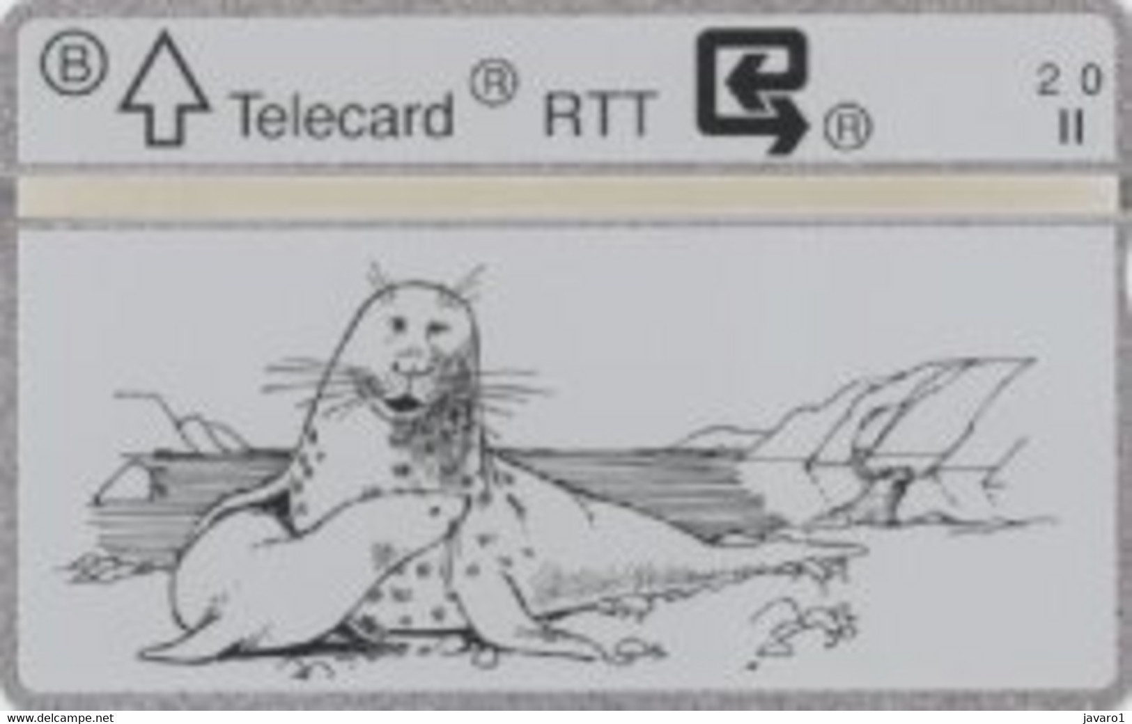 1991 : P203 ZEEHOND, PHOQUE , SEAL MINT - Sin Chip