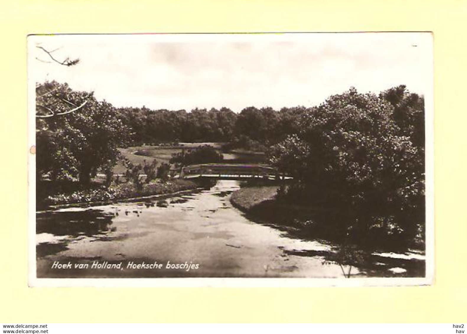 Hoek Van Holland Hoeksche Boschjes RY28318 - Hoek Van Holland