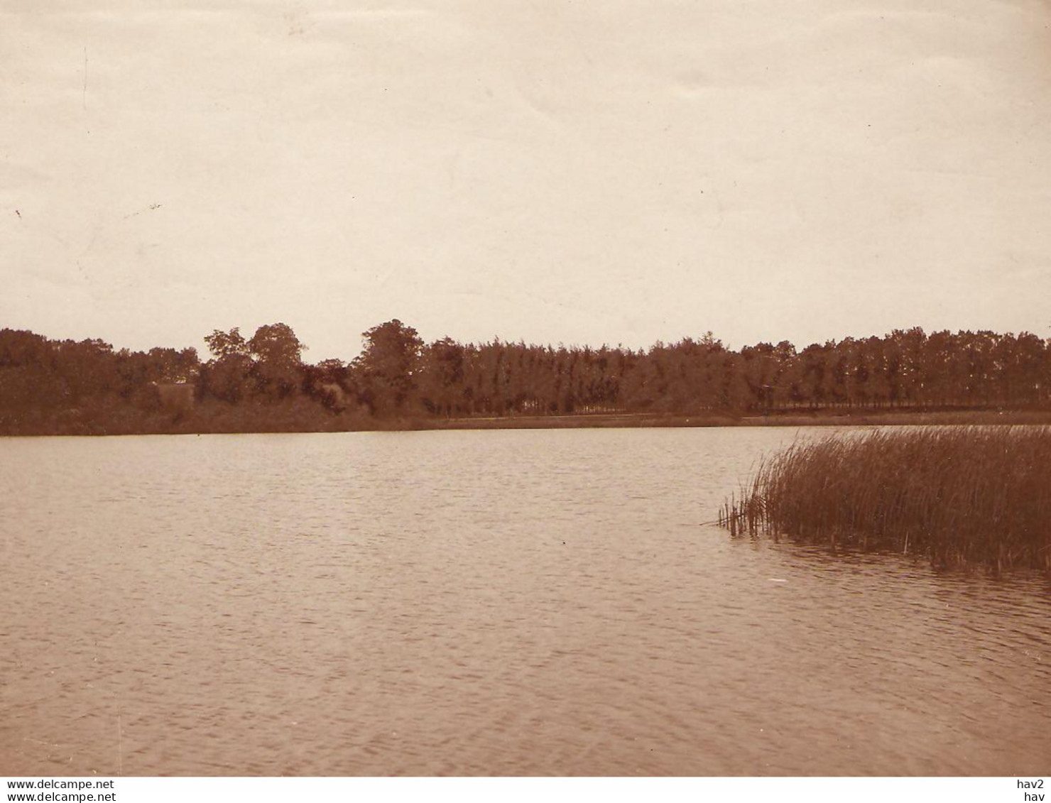 Putten Originele Foto Ca. 1905 Voor Kaart KE1432 - Putten