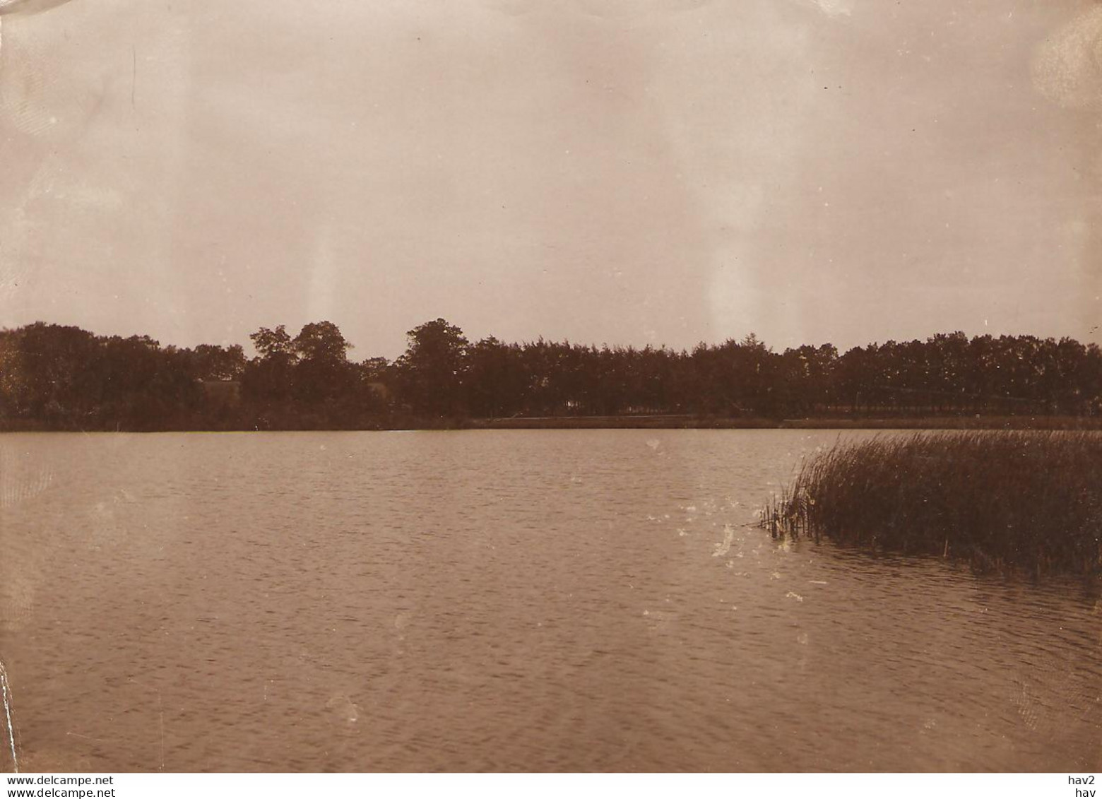 Putten Originele Foto Ca. 1905 Voor Kaart KE1425 - Putten