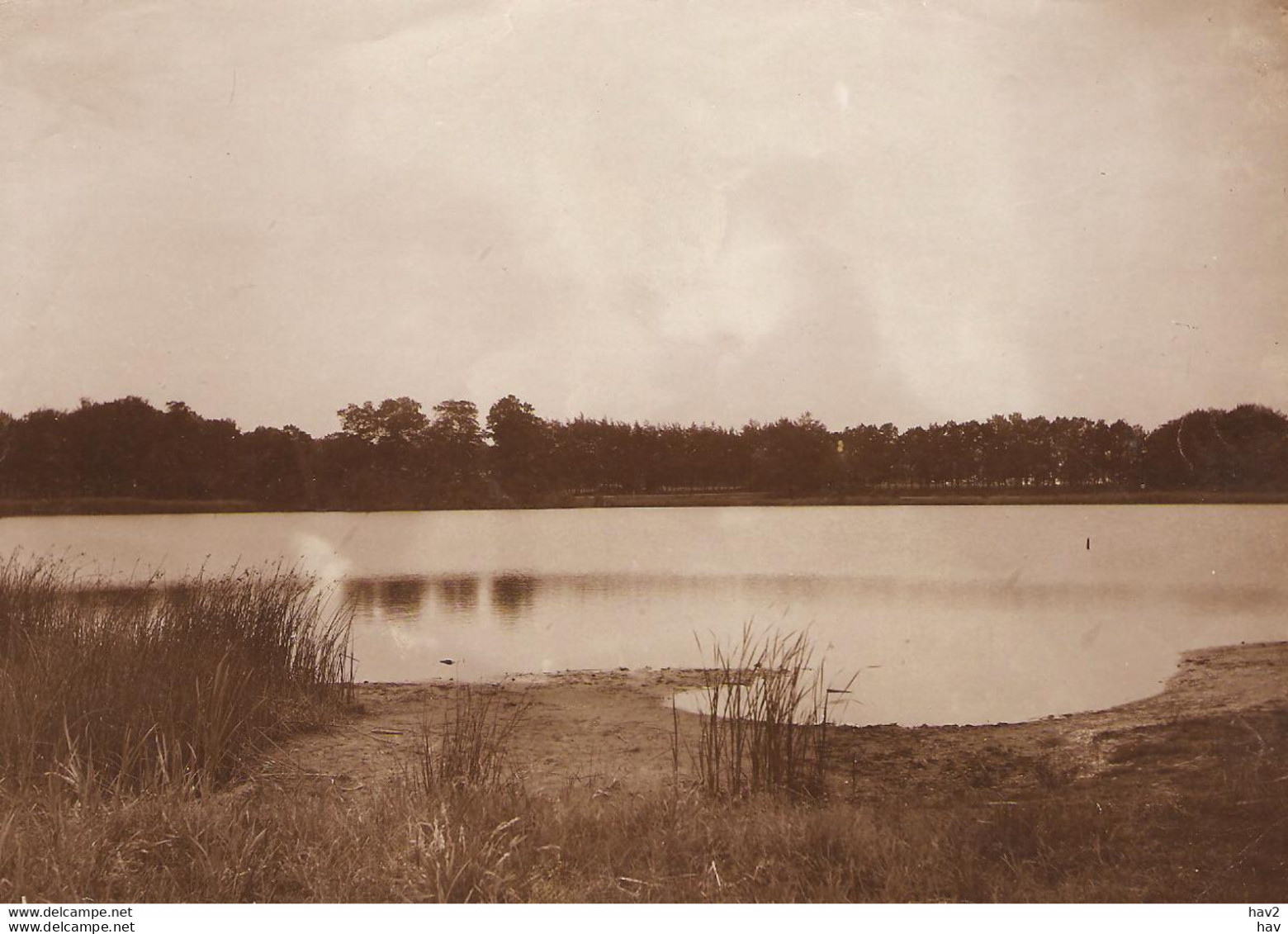 Putten Originele Foto Ca. 1905 Voor Kaart KE1426 - Putten