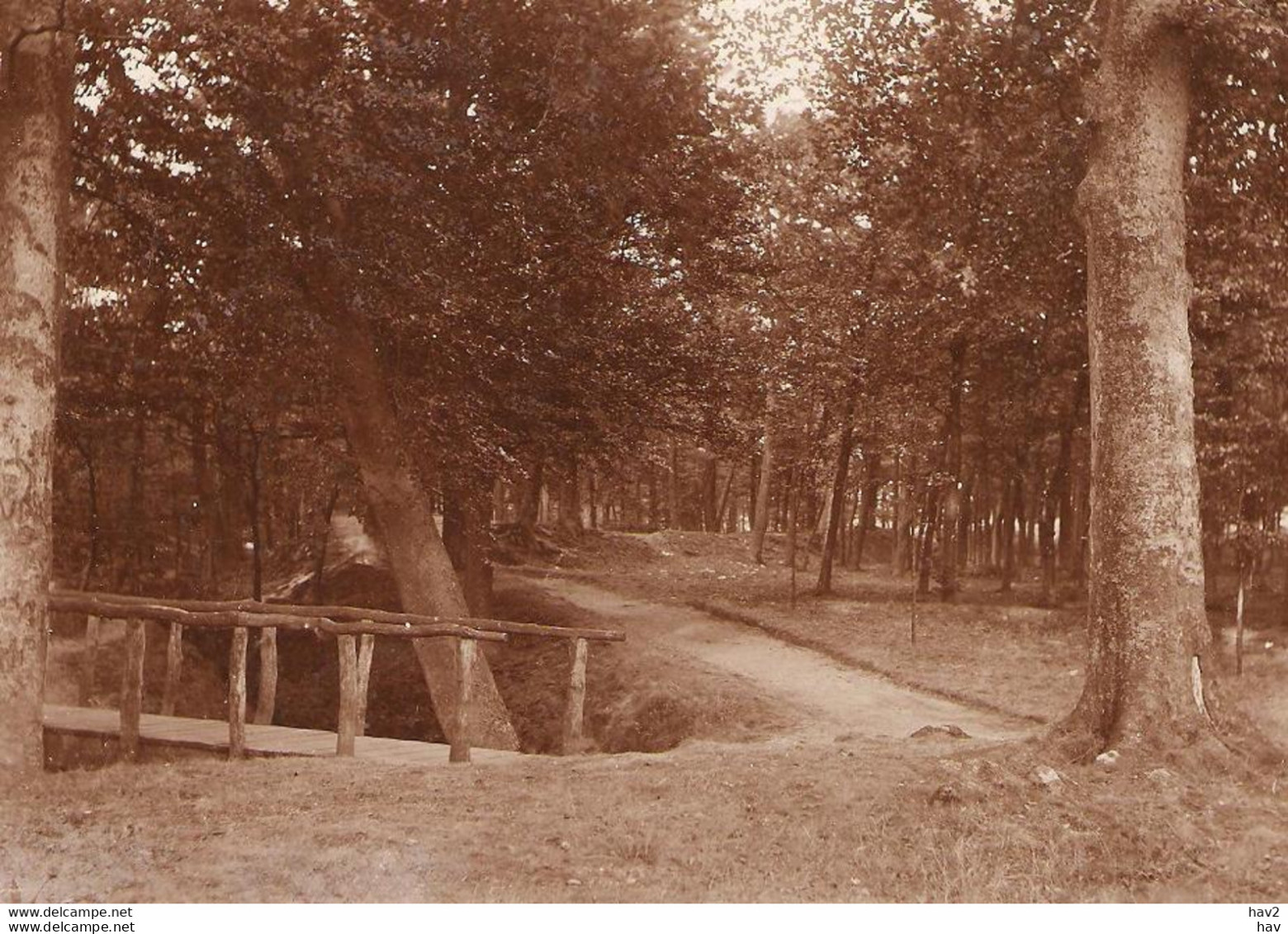 Putten Originele Foto Ca. 1905 Voor Kaart KE1427 - Putten