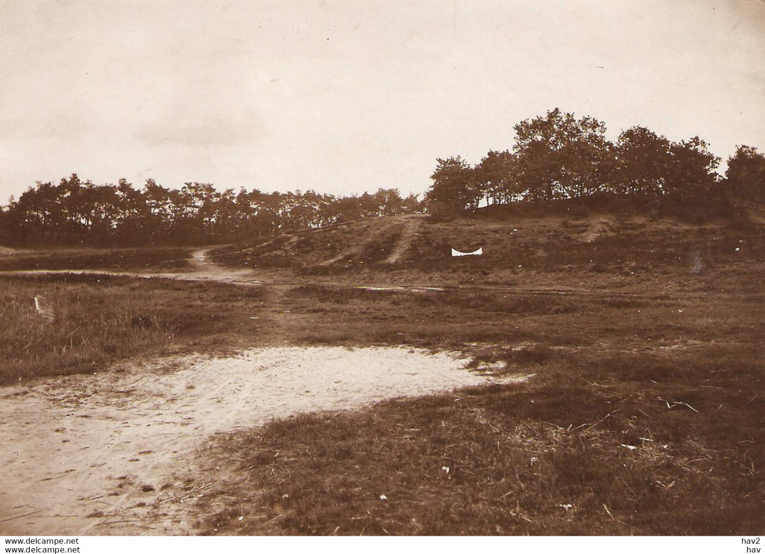 Putten Originele Foto Ca. 1905 Voor Kaart KE1424 - Putten