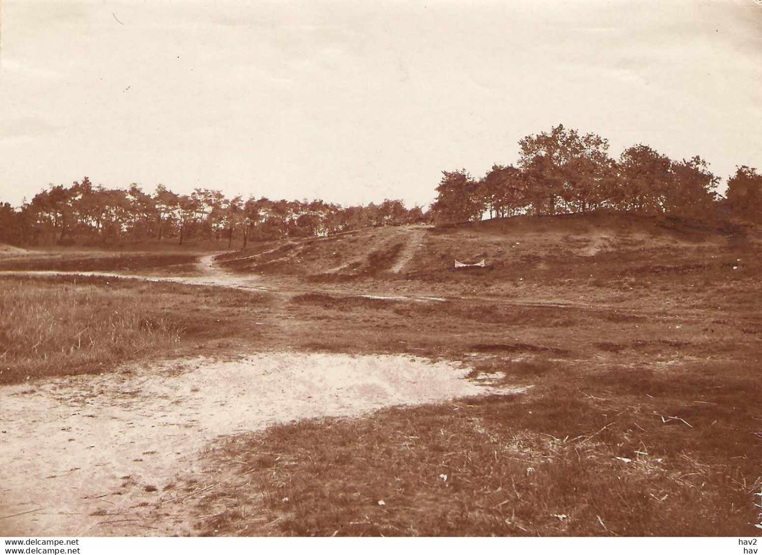 Putten Originele Foto Ca. 1905 Voor Kaart KE1421 - Putten