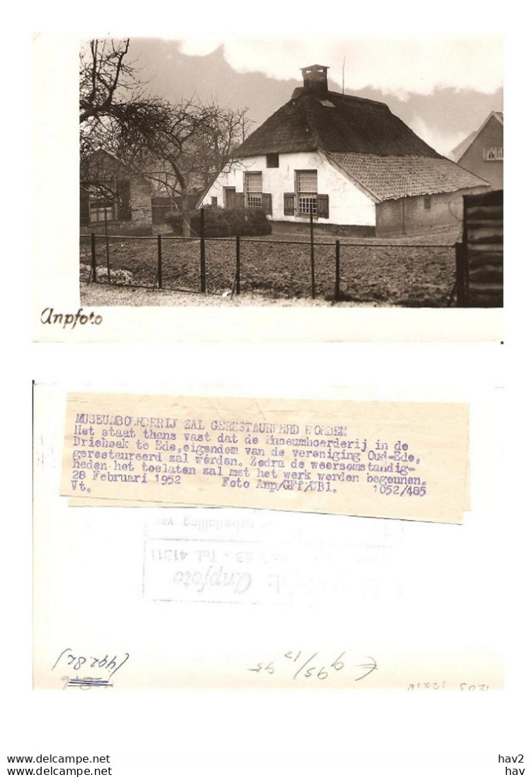 Persfoto Ede Museumboerderij Voor Restauratie 1952 KE1203 - Ede