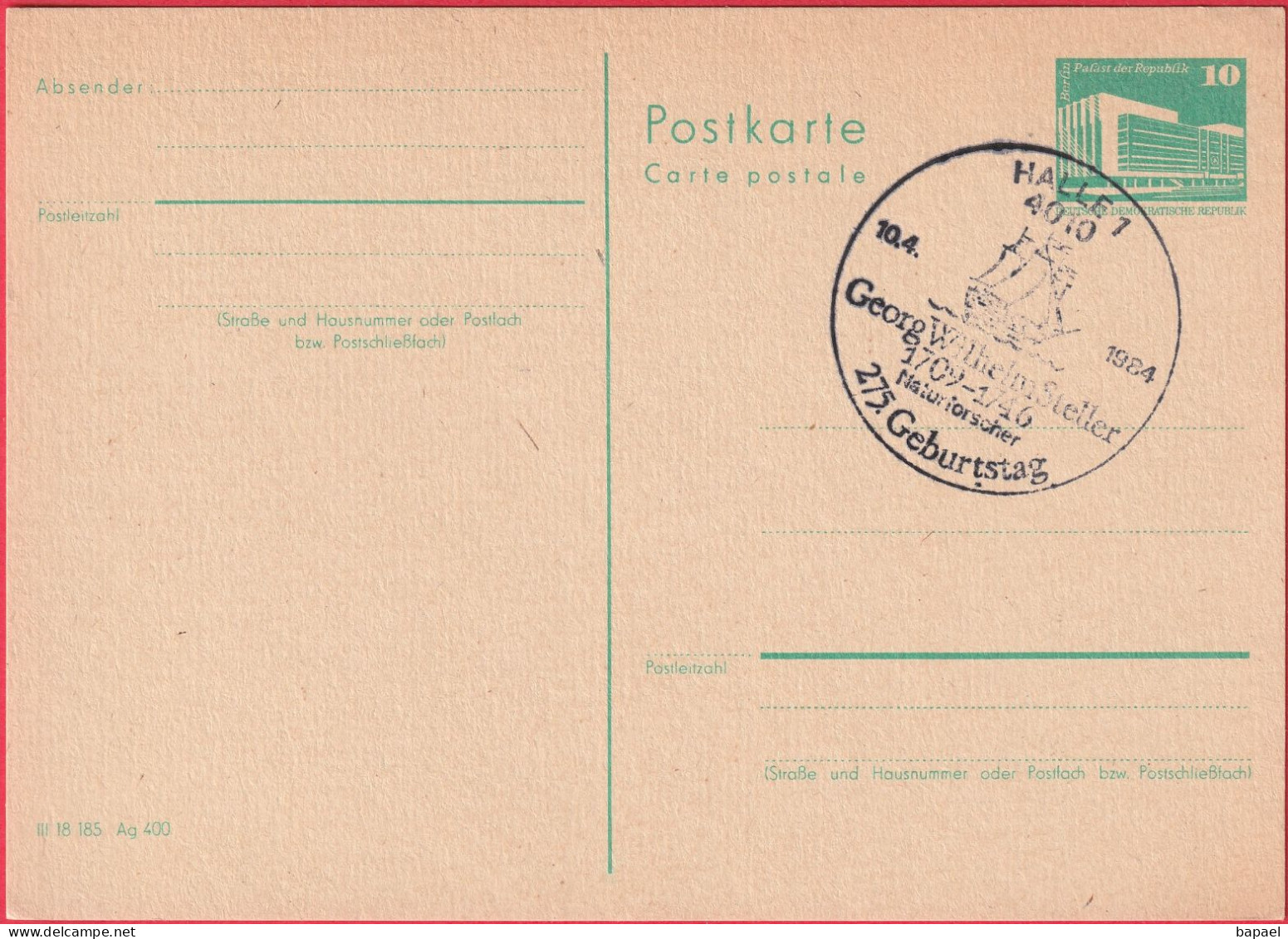 CP - Entier Postal - Halle (Allemagne - DDR) (1984) - Georg Wilhelm Steller - Postcards - Used