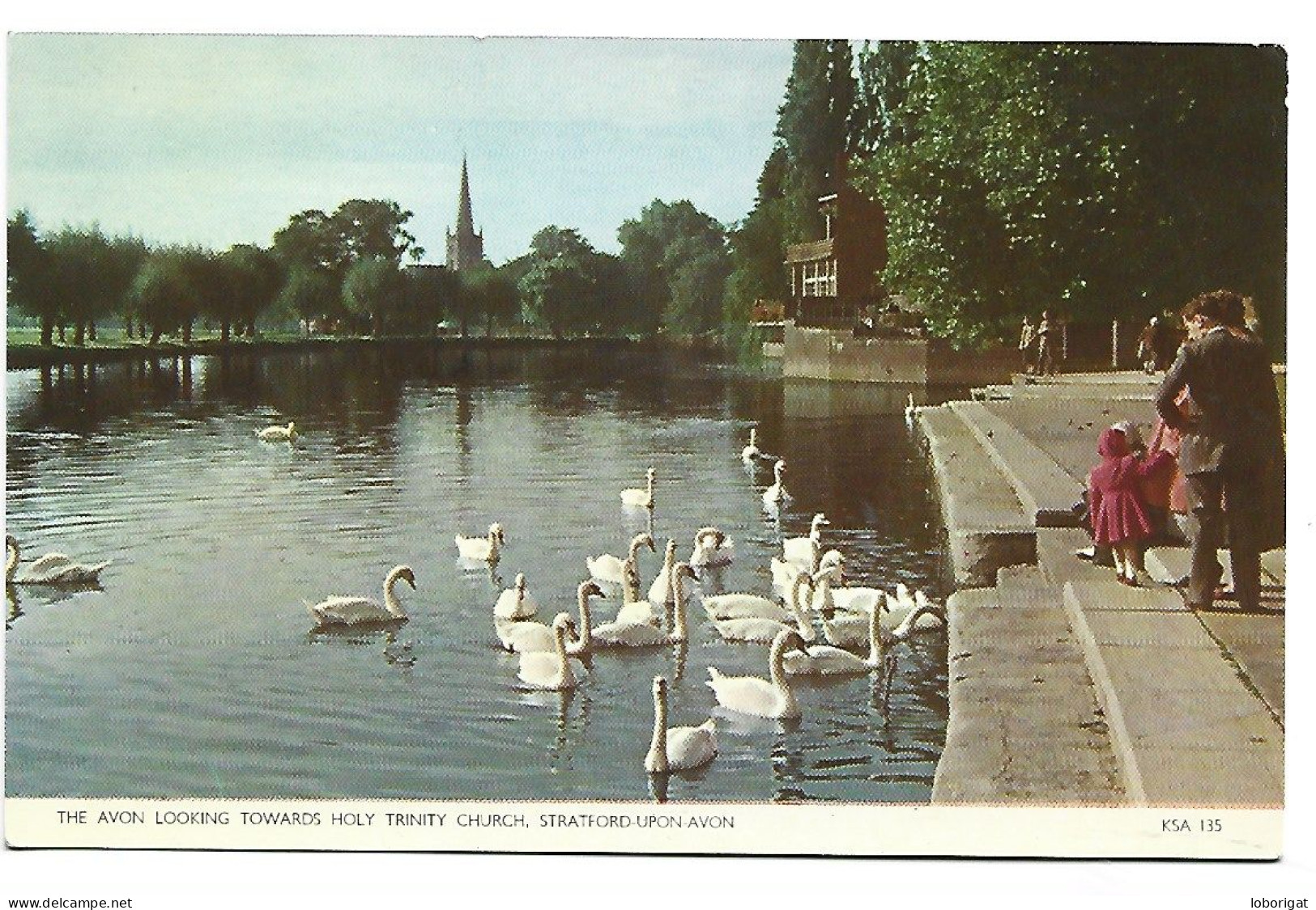 THE AVON LOOKING TOWARDS HOLY TRINITY CHURCH.-  STRATFORD-UPON-AVON.- ( REINO UNIDO ) - Stratford Upon Avon