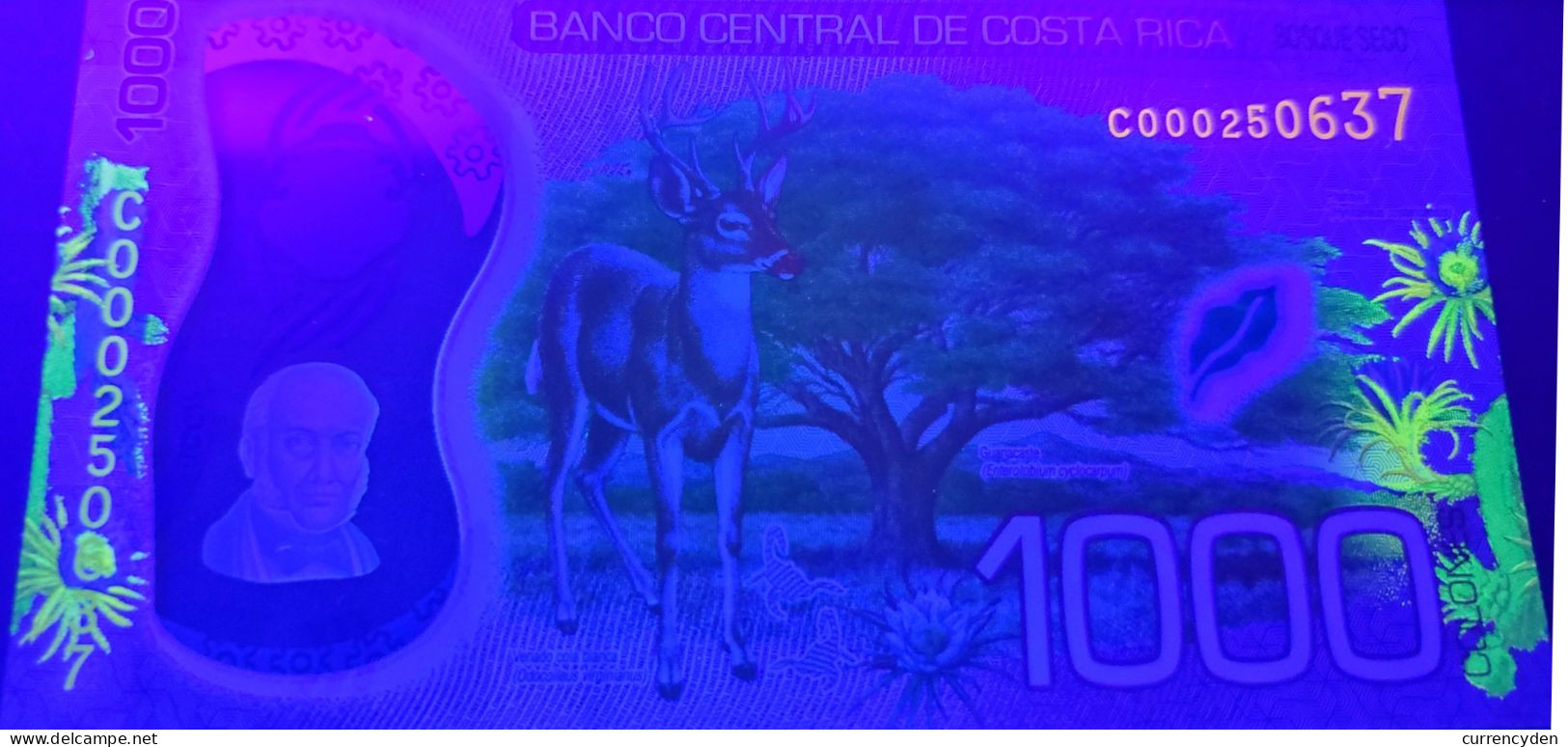Costa Rica, 1000 Colones, Colina / Deer, Cactus, Scorpions 2019, POLYMER, UNC - Costa Rica