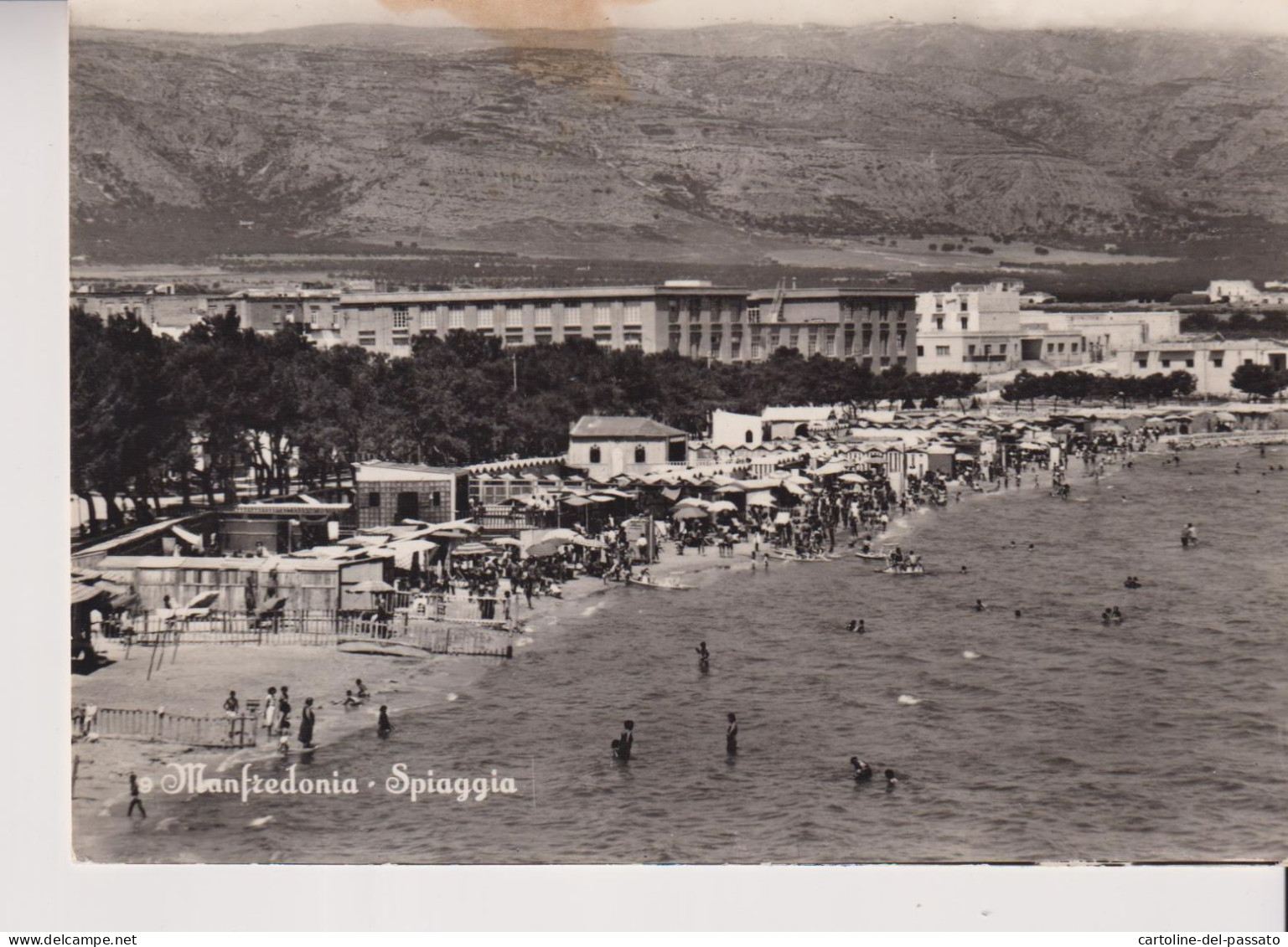 MANFREDONIA  FOGGIA  SPIAGGIA  VG  1956 - Manfredonia